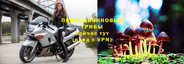 ALPHA-PVP Инсар