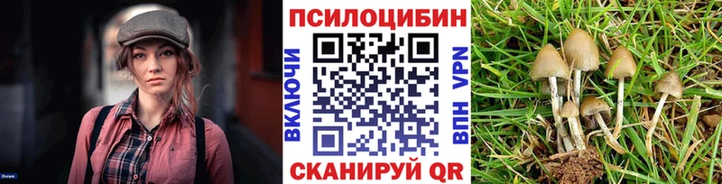Псилоцибиновые грибы Psilocybe Кубинка