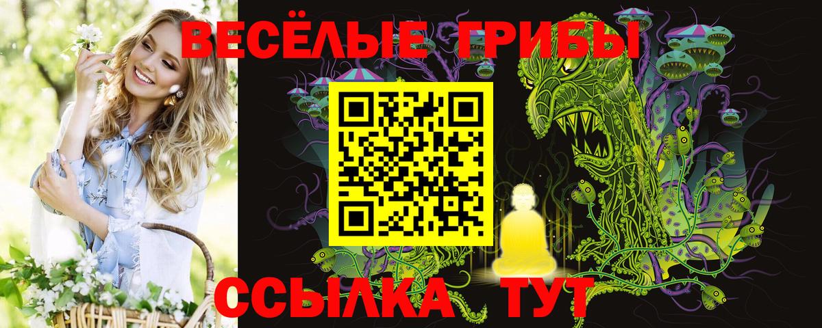 Галлюциногенные грибы прущие грибы Кубинка